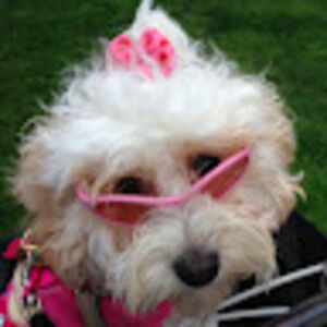 Meet your Posher, Cathy